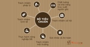 Cacao Tây Nguyên
