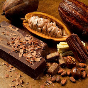 cacao Đắk Lắk