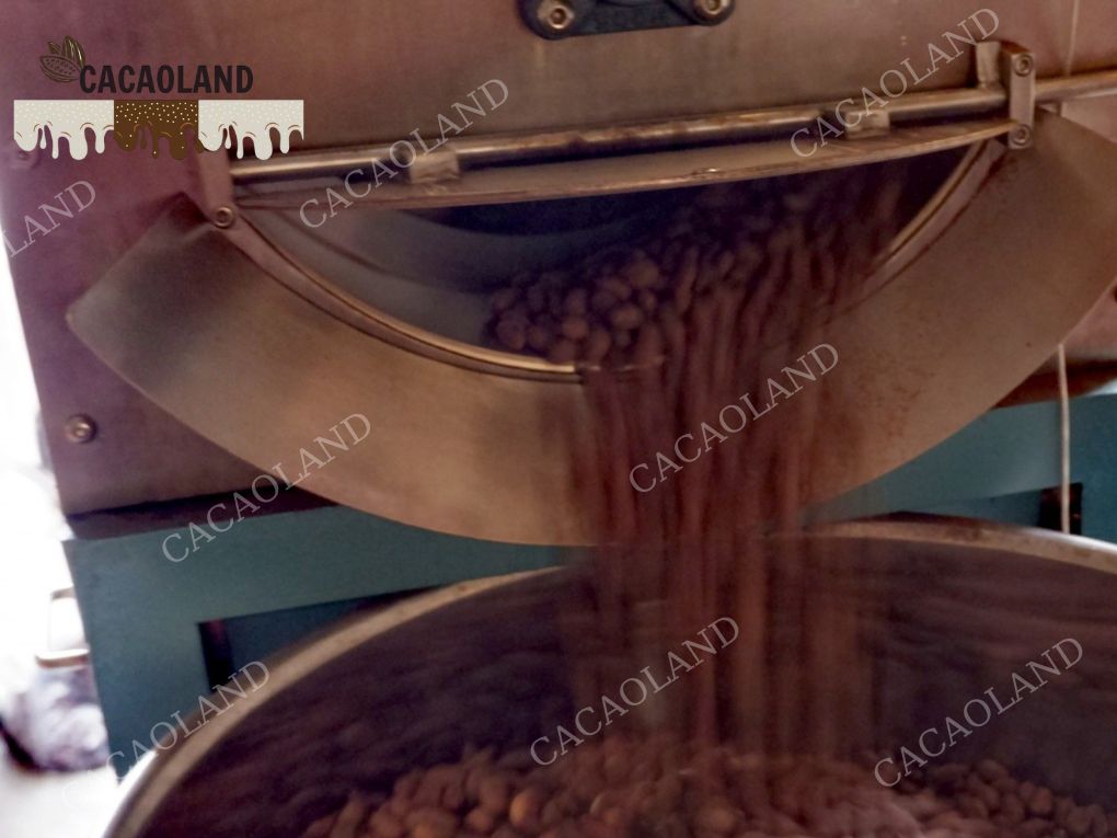 Cacao là gì? Khám phá nguồn gốc và công dụng tuyệt vời của cacao..